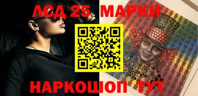 индика Ярославль