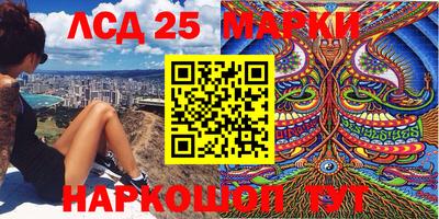 индика Ярославль
