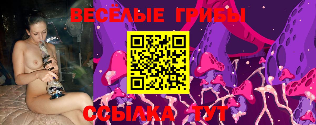Псилоцибиновые грибы ЛСД Таганрог