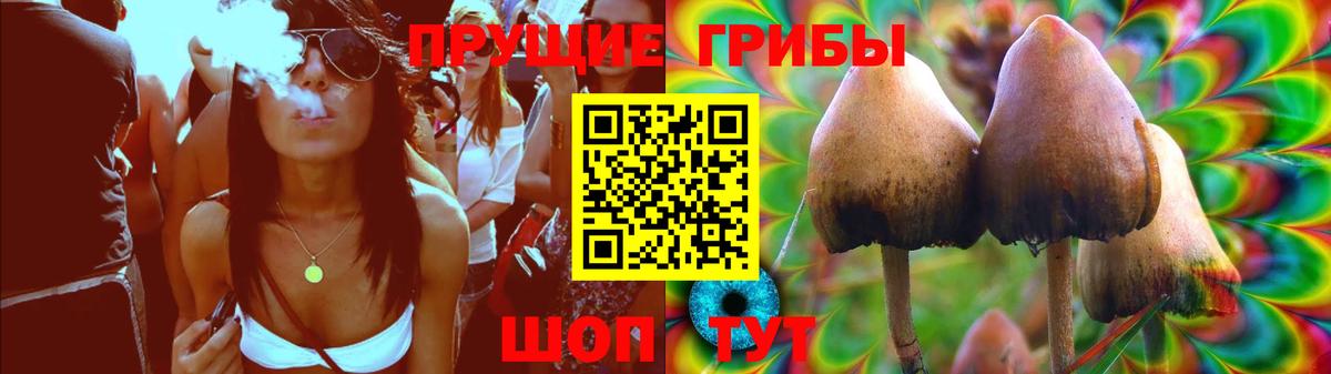 Галлюциногенные грибы мицелий  Вход с VPN  Таганрог 